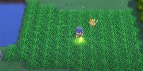 chain fishing odds|Pokémon BDSP: How To Catch Shiny Pokémon Through Chain .